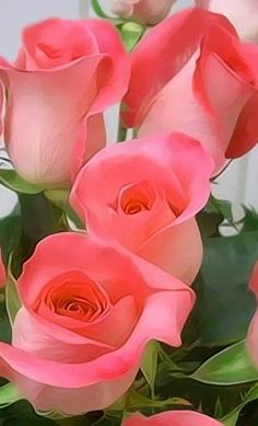 Rosas, ramo de rosas, enviar rosas, 12 rosas rojas, ramo de 12 rosas rojas, ramo rosas, ramo de 12 rosas, ramo de 24 rosas, ramo de rosas blancas precio