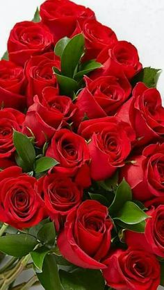 Flores para Sant Jodi, Rosas Rojas Sant Jordi, Flor10, Envíos de Flores Urgentes