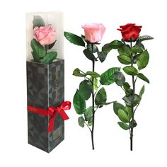 Rosa Preservada, Regalo de San Valentín, Rosa Eterna, Floristería Online, Rosas Naturales, Floristerías en Lugo, Floristería Candea