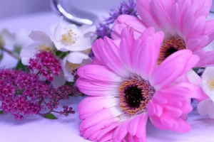 Ramo Flores Viena, Floristerías en Lugo, Ramo Blanco para Regalar, Flores en Lugo, Arreglos Florales, Comprar Flores Online