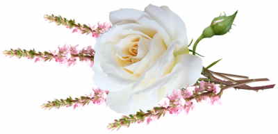Bouquet Flores Dinamarca, Flores para Regalar, Floristería Online, Ramos de Flores, Arreglos Florales, Floristerías en Lugo