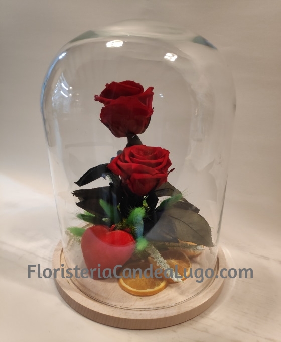 Cúpula Rosa Preservada | Rosa Eterna | Rosas Naturales para Regalar